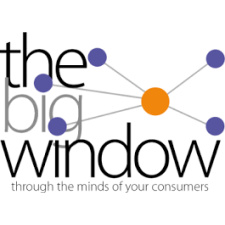 THE BIG WINDOW